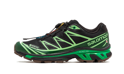 Advanced XT-6 Gore-Tex Eden Green Ash