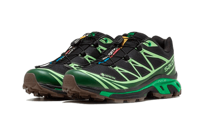 Advanced XT-6 Gore-Tex Eden Green Ash