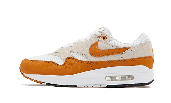 Air Max 1 Bronze