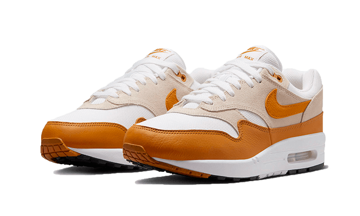 Air Max 1 Bronze