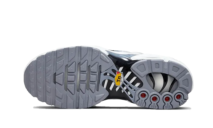 Air Max Plus Sail Grey - FQ2892-100